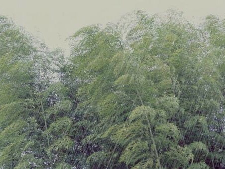 雨漏りの原因について
