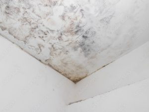 雨漏りしたら修理はどうすればいいの？費用や業者選びについて徹底解説